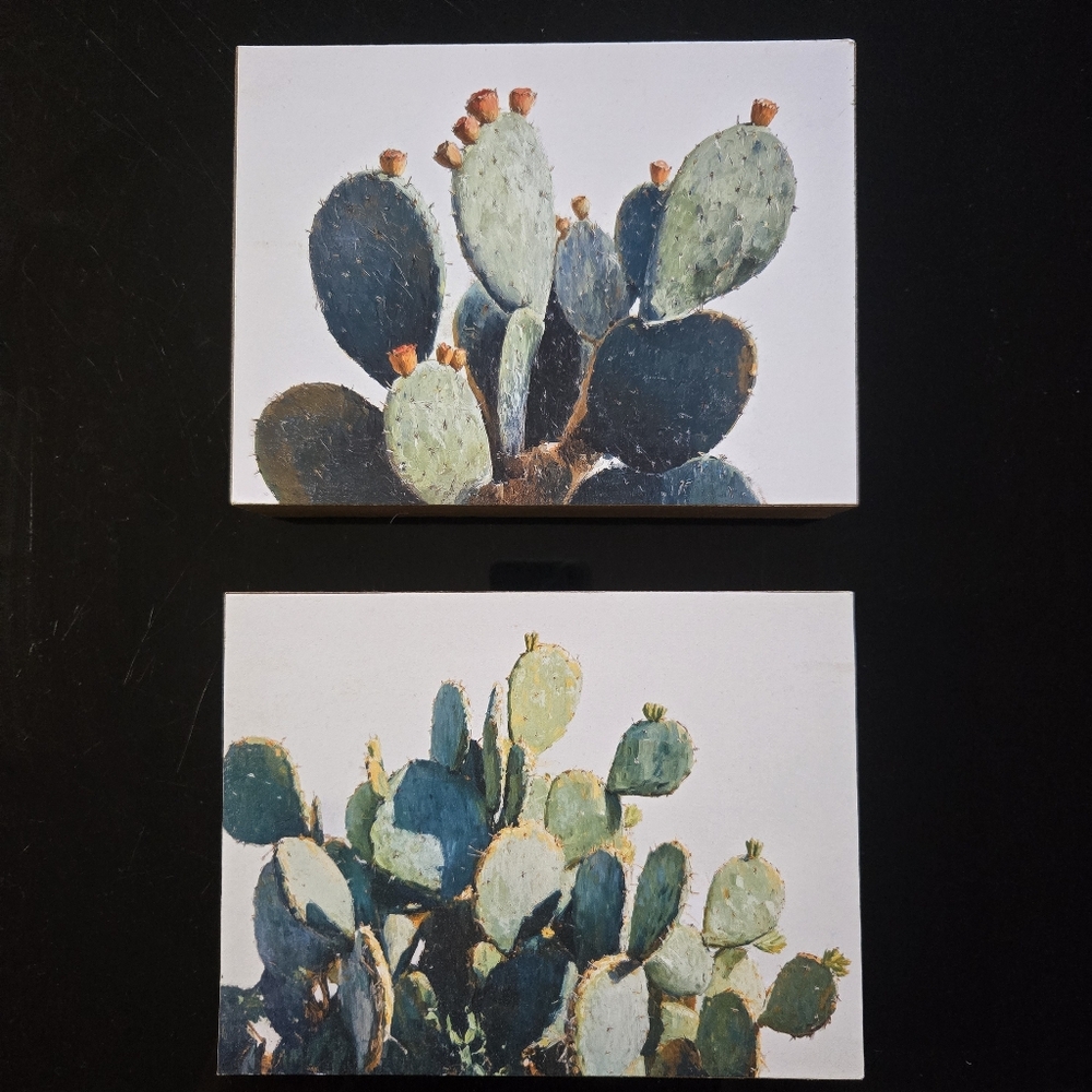 Set Of 2 New Prickly Pear Cactus Painting Prints On Wood Michaels Santa Fe Decor